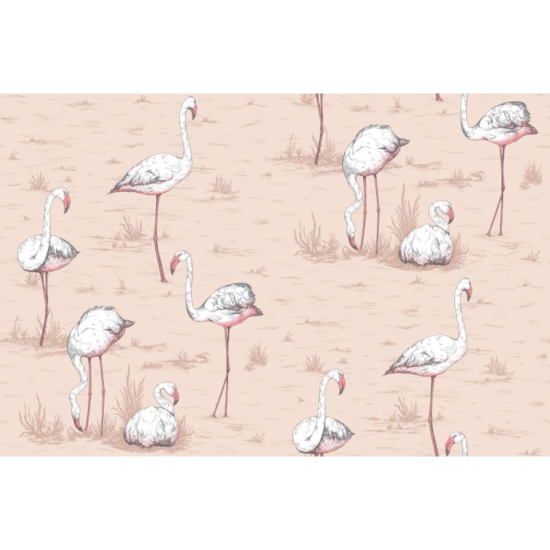 Papel pintado Flamingos