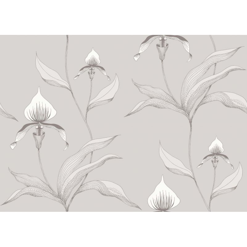 Papel pintado Orchid de Cole & Son