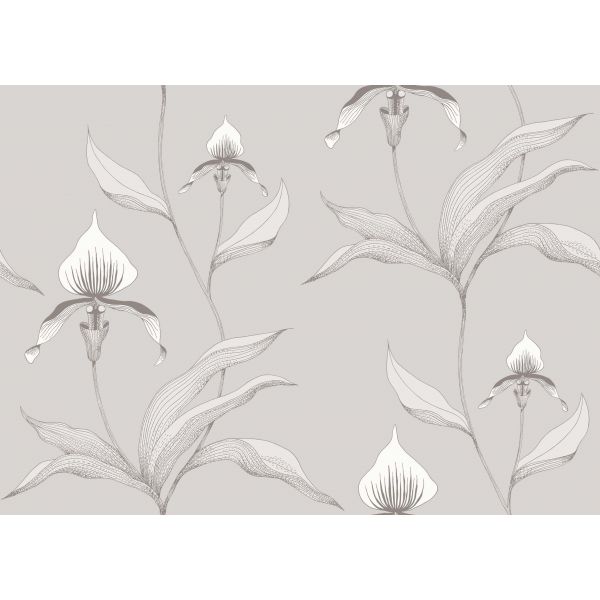 Papel pintado Orchid de Cole & Son