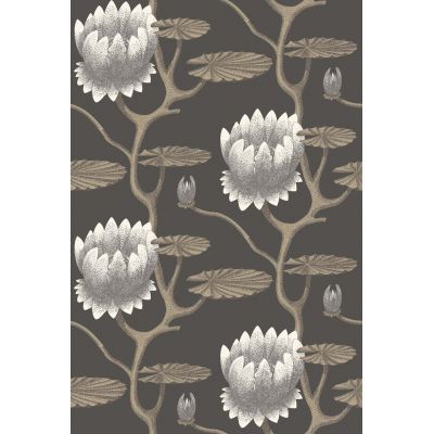 Papel pintado Summer Lily de Cole & Son