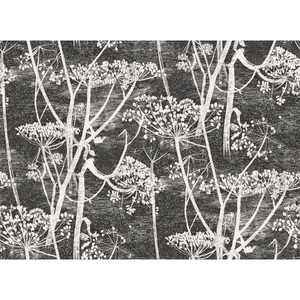 Papel pintado Cow Parsley de Cole & Son